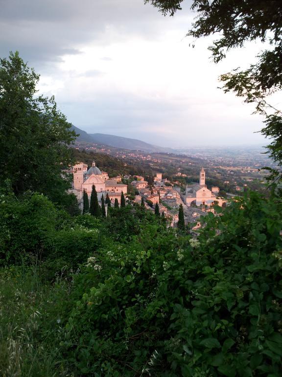 La Corte Degli Angeli Locazioni Turistiche Assisi Exterior foto